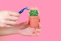 Green cactus in a brown pot and a razor on a pink background. the concept of depilation, epilation and removal unwanted