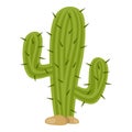 Green Cactus Flat Icon Isolated on White Royalty Free Stock Photo