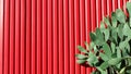 Green cactus grow outside over red lined metallic wall in Spain, Europe. Vivid contrast backdrop