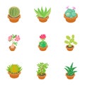 Green cactus icons set, cartoon style Royalty Free Stock Photo