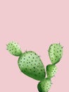 Green cactus on light pink. South western plant. Botanical detail for greeting, invitation, card, postcard. Watercolour