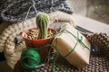 Green cactus near the window with a Christmas present in craft paper. Cozy Christmas. Soft knitted scarves and hand Royalty Free Stock Photo