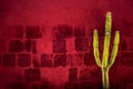 Green cactus over red textured wall