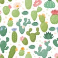 Green cactus pattern, different plants. Bright paper wrap paper design, cute summer print, cute succulents and flowers