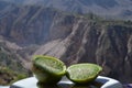 Green Cactus Pear, Colca Canyon Royalty Free Stock Photo