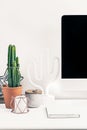 Green cactus plant on white board closeup photo Royalty Free Stock Photo