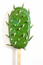 A green cactus on popsicle stick, white background. Creative cactus ice cream on a white background.