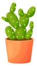 Green cactus in pot. Home decoration cartoon icon Royalty Free Stock Photo