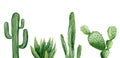 Green cactus set. Saguaro cactus. Aloe vera plant. Greenery. Watercolour illustration isolated on white background. Royalty Free Stock Photo