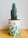 Green Cactus With Sharp Thorns And Soft Down