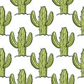 Green cactus in the soil seamless pattern. Hand drawn vector illustration. Flat cartoon style.