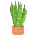 Green cactus in terracotta pot vector illustration