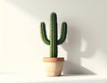 Green Cactus in Terracotta Pot on White Surface with Shadow Royalty Free Stock Photo