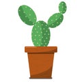 Green cactus with thorns in a clay pot