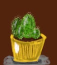 Green cactus in the yeloow pot