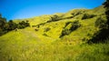 Green california hills and mountains in spring Royalty Free Stock Photo