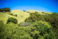 Green california hills and mountains in spring Royalty Free Stock Photo