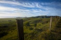 Green California hillside Royalty Free Stock Photo