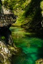 Green calm water river Radovna in Vintgar gorge