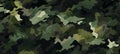 Green camo texture for stealth and concealment. Camouflage pattern with shades of green and black. Background. Wide