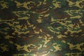 Green Camouflage pattern Royalty Free Stock Photo