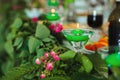 Green candle in a candlestick on a holiday table Royalty Free Stock Photo