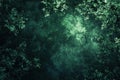 Green canopy casts a mysterious mood, forest canopy with an Enchanted Theme Royalty Free Stock Photo
