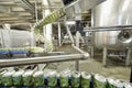 Green cans go on conveyor in Ochakovo factory