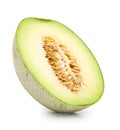 Green cantaloupe melon isolated