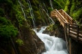 Green canyon with new wooden footpath Royalty Free Stock Photo