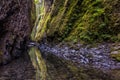 The Green Canyon of Oregon