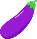 Fresh Isolated Brinjal Vector Illustration