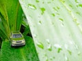 A green car is in green leaves Royalty Free Stock Photo