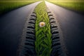 Green car tire track. Close up of the tread pattern of a car tire on a asphalt road, grass and flowers begin to grow in the tire