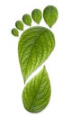 Green Carbon Foot Print Royalty Free Stock Photo