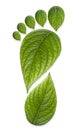 Green Carbon Foot Print