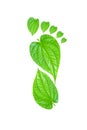 Green Carbon Foot Print Concept