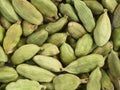 Green cardamom Royalty Free Stock Photo