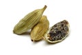 Green cardamom Royalty Free Stock Photo