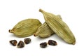 Green cardamom Royalty Free Stock Photo