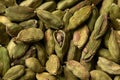 Green cardamom pods, spice, close up, macro. background texture. Royalty Free Stock Photo