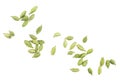 Green cardamom seeds isolated on white background, top view. Dried cardamom pods Royalty Free Stock Photo