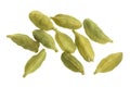 Green cardamom seeds isolated on white background. Top view. lay flat Royalty Free Stock Photo