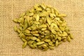 Green Cardamom Spice Royalty Free Stock Photo