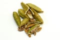 Green Cardamom Spice Royalty Free Stock Photo