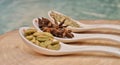 Green cardamom, star anise and fennel seeds in white ceramic spoon