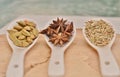 Green cardamom, star anise and fennel seeds in white ceramic spoon