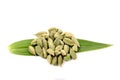 Green cardamon Royalty Free Stock Photo