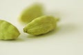 Green cardamon Royalty Free Stock Photo