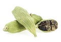 Green cardamon pods and seeds isolated on white background Royalty Free Stock Photo